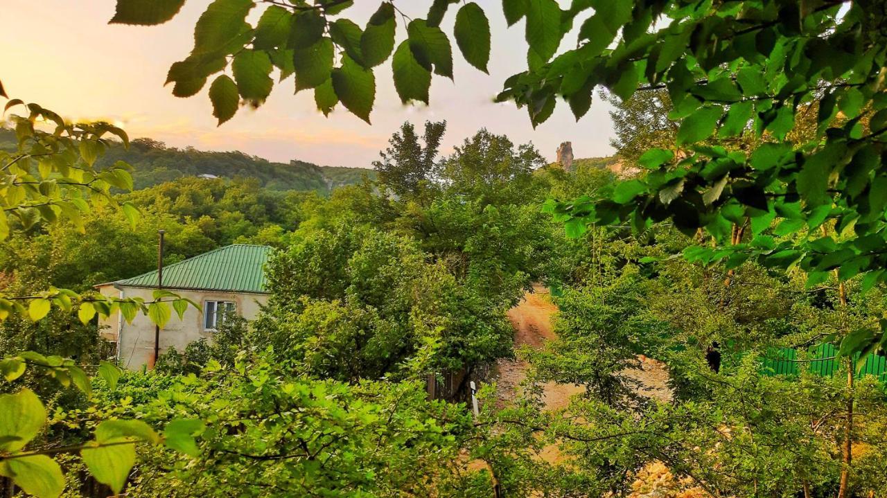 Vaso'S Guesthouse Katskhi Zewnętrze zdjęcie