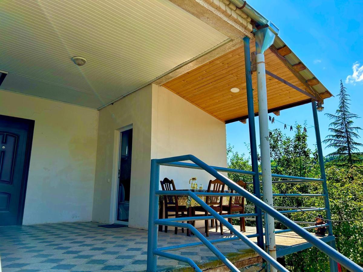Vaso'S Guesthouse Katskhi Zewnętrze zdjęcie